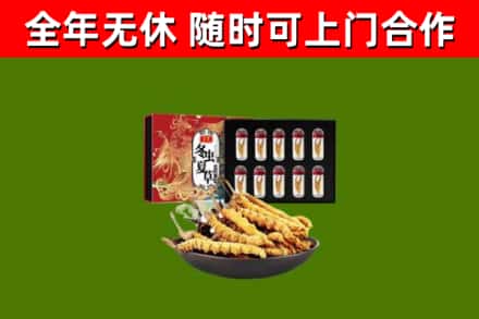 桑植回收冬虫夏草价格