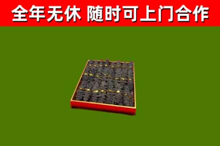 桑植回收海参